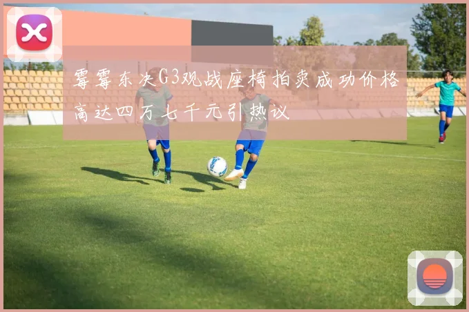 霉霉东决G3观战座椅拍卖成功价格高达四万七千元引热议